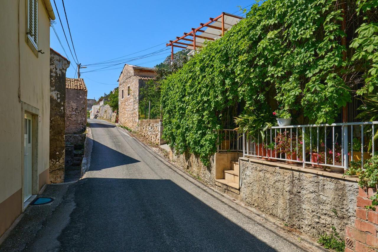 Stone House Biskup Apartment Babino Polje Exterior photo